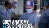 Grey’s Anatomy 22 arriva su Disney+