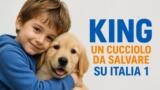 King un cucciolo da salvare, trama del film su Italia 1 stasera