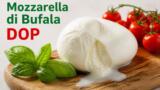 Mozzarella di bufala campana: dove assaggiare la vera DOP