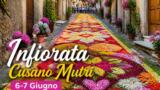 Infiorata di Cusano Mutri 2026: quadri floreali nel borgo del Sannio il 6 e 7 giugno