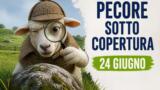 Pecore sotto copertura: commedia mystery su Prime Video