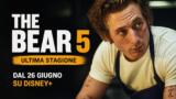 The Bear 5 dal 26 giugno su Disney+: l’ultima stagione