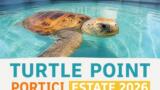 Turtle Point Portici: orari estivi 2026 e biglietti per il centro tartarughe