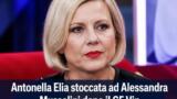 Antonella Elia dopo il GF Vip: stoccata ad Alessandra Mussolini