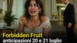 Forbidden Fruit anticipazioni: 20 e 21 luglio 2026