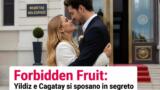 Forbidden Fruit: Yildiz e Cagatay si sposano in segreto