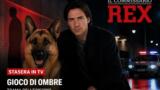 Il Commissario Rex stasera: trama episodio Gioco di ombre