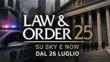 Law and Order 25: la nuova stagione su Sky e NOW dal 26 luglio
