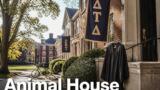 Animal House stasera su Twentyseven: la commedia cult