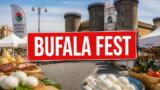 Bufala Fest 2026 a Napoli, date, prezzi e programma