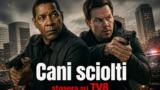 Cani sciolti stasera su TV8: trama e cast del film