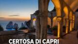 Certosa di San Giacomo a Capri: apertura serale straordinaria il 25 agosto