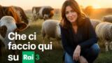 Che ci faccio qui: Parlami di te stasera su Rai 3