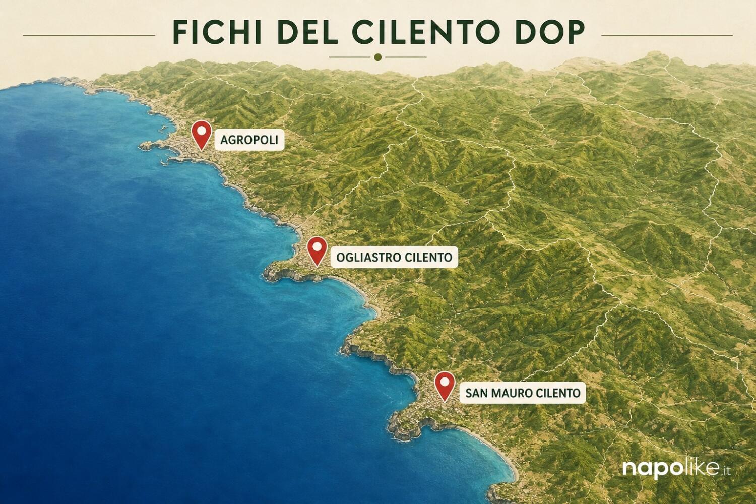 Mappa del Cilento con i produttori di fichi bianchi DOP: Agropoli, Ogliastro Cilento, San Mauro Cilento