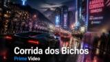 Corrida dos Bichos: su Prime Video dal 7 agosto