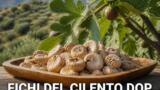Fichi bianchi del Cilento DOP: i migliori produttori dove comprarli