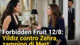 Forbidden Fruit 12/8: Yildiz contro Zehra, zampino di Mert