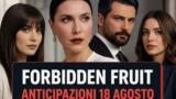 Forbidden Fruit, 18 agosto 2026: anticipazioni puntata di oggi