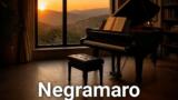 Giuliano dei Negramaro suona i Radiohead in Sicilia