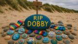 Harry Potter, i fan fanno deviare un cavo sottomarino per non disturbare la tomba di Dobby