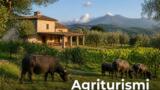 I migliori agriturismi del Litorale Domizio