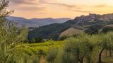 I migliori agriturismi dell’Irpinia
