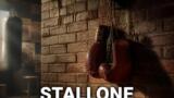 I migliori film di Sylvester Stallone da rivedere in streaming