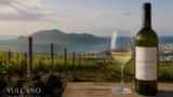 I vini dei Campi Flegrei: le migliori cantine