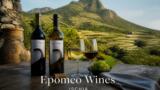 I vini d’Ischia DOC: le migliori cantine dove degustare