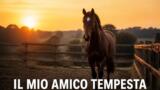 Il mio amico Tempesta su Canale 5: il film in prima tv