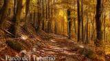 Il Parco del Taburno: sentieri ed escursioni
