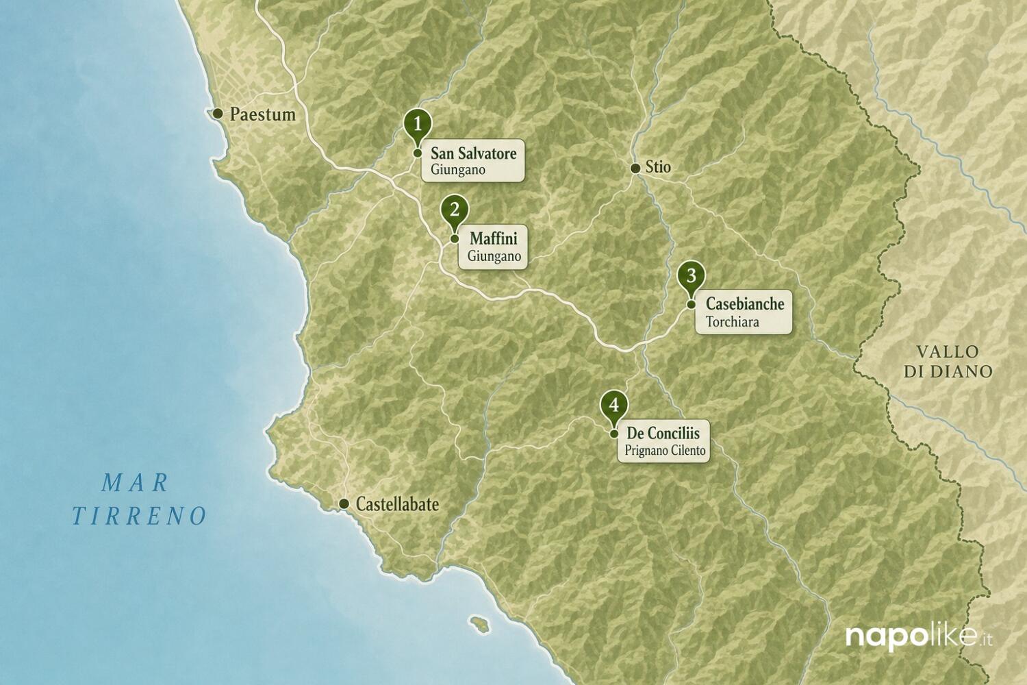 Mappa delle migliori cantine del Cilento