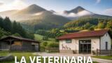 La Veterinaria, fiction Rai: riprese a settembre in Calabria