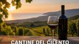 Le migliori cantine del Cilento: dove degustare i vini