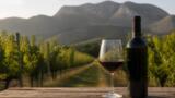 Le migliori cantine del Sannio: Aglianico del Taburno e Falanghina