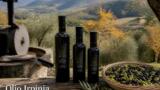 L’olio extravergine di oliva dell’Irpinia: i migliori frantoi
