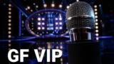 Nancy Brilli al Grande Fratello Vip? La risposta dell’attrice