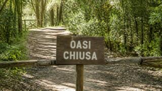 Oasi WWF degli Astroni chiusa dopo il terremoto del 31 luglio