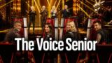 The Voice Senior, Fiorella Mannoia in giuria al posto di Loredana Bertè