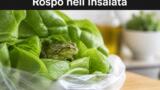 Trova un rospo vivo nell’insalata comprata al supermercato: salvato a Monza