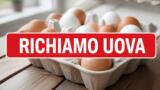 Uova Eurospin richiamate per rischio salmonella: il lotto