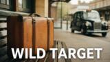 Wild Target una valigia per tre stasera su Rai 4