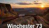 Winchester 73 stasera su Rai Movie: western di James Stewart