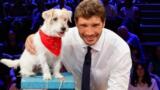 Affari Tuoi torna in tv, il sostituto del cane Gennarino