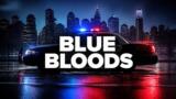 Blue Bloods oggi su Rai 2: le puntate del pomeriggio