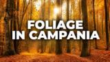 Il foliage in Campania: dove vedere l’autunno