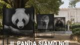 Il Panda siamo noi: prorogata la mostra WWF nel Giardino Inglese della Reggia di Caserta