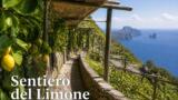 Il Sentiero del Limone: l’escursione tra i limoneti della penisola sorrentina