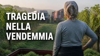 Incidente sul lavoro ad Alcamo, muore incastrato in una vendemmiatrice: grave un collega