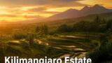 Kilimangiaro Estate stasera su Rai 3
